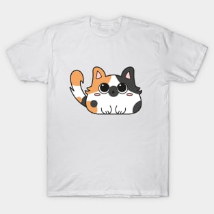 Cute calico kitten T-Shirt